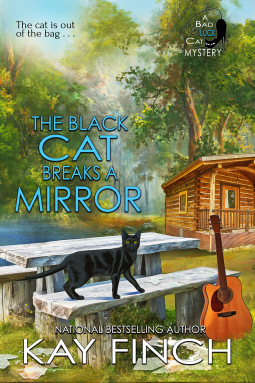 Book cover from The Black Cat Breaks a Mirror by Kay Finch